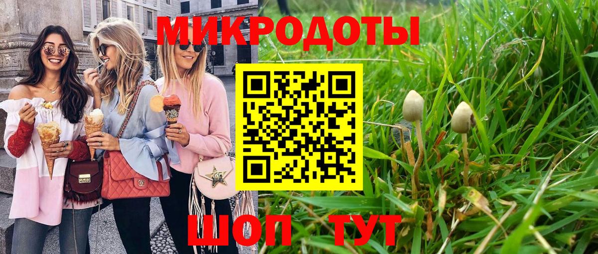 Магнитогорск  Псилоцибиновые грибы Psilocybine cubensis  Вход с VPN 